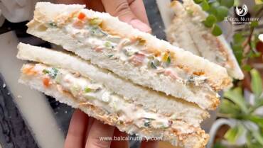 Hung Curd Sandwich