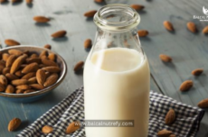 Low Fat Recipe of Almond Milk